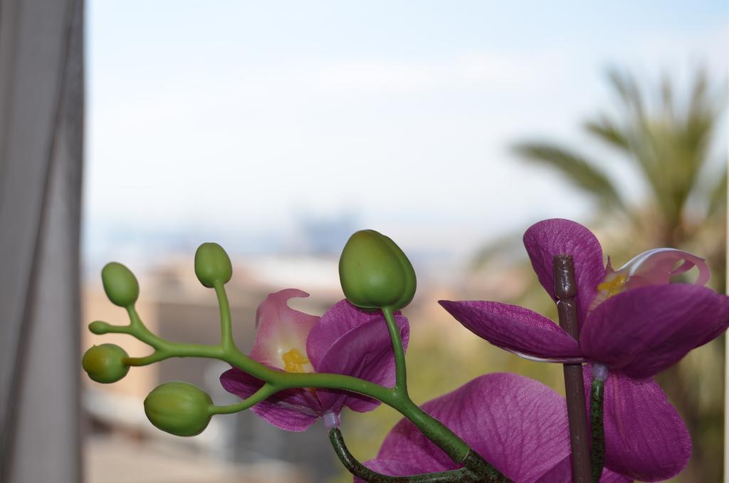 Apartsuits Rambla Nova 24 Apartamento Tarragona